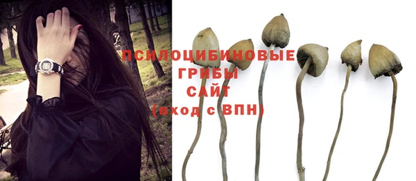 молекула духа Михайловка