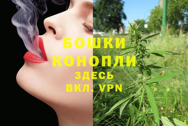 гидра Медвежьегорск