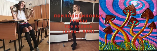 молекула духа Михайловка